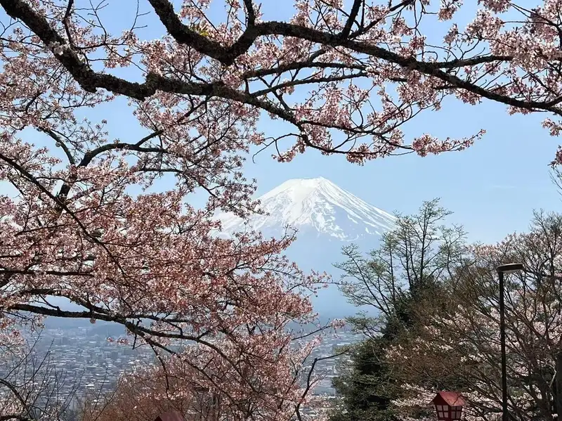 Torii gate of Fuji Sengen Shrine with Mount Fuji beyond on a small-group fuji five lakes tour, Japan